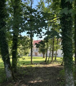 Le château vu depuis le bois