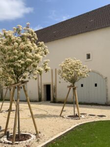 La cour d’honneur au printemps