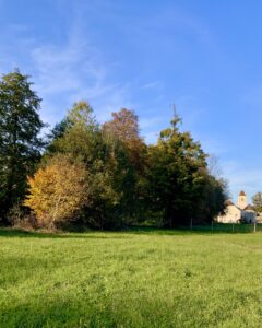 Vue du chateau depuis le parc animalier