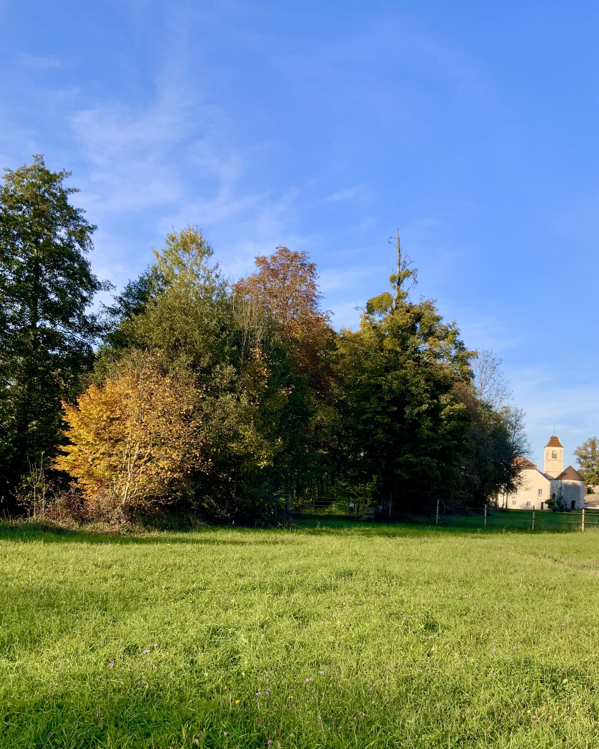 Vue du chateau depuis le parc animalier