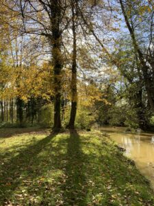 Le bois et la baignotte en automne