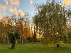 Vue du parc en automne