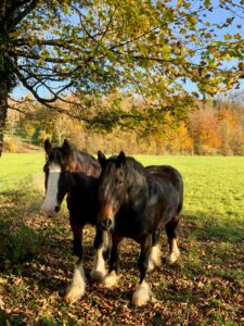 Janice et Sapphire dans le parc animalier