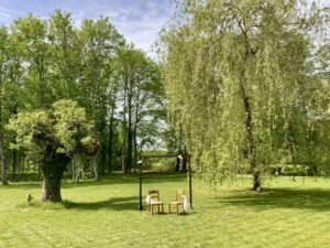 Arche en bois dans le parc